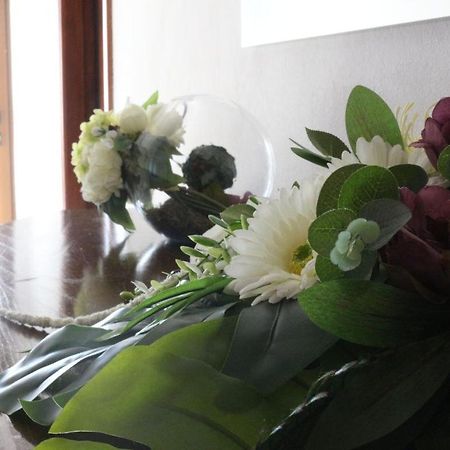 Casa Da Pedrosa Bed and Breakfast Ponte de Lima Εξωτερικό φωτογραφία