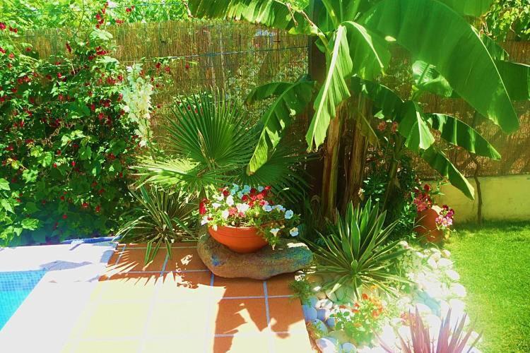 Casa Da Pedrosa Bed and Breakfast Ponte de Lima Εξωτερικό φωτογραφία